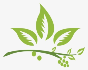 Jpg Transparent Library Herb Vector - Medicinal Plants