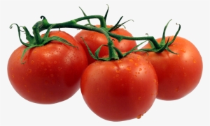 Tomato Png Picture - Transparent Background Tomatoes Png