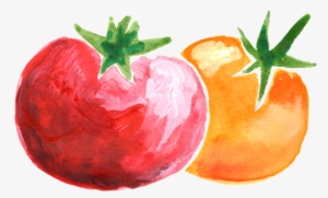Tomato Sketch026 - Tomato