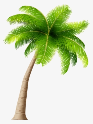 Palm Png