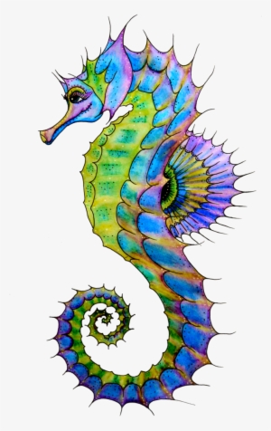 Seahorse Painting Inspirational Watercolour Seahorse - Seahorse Png