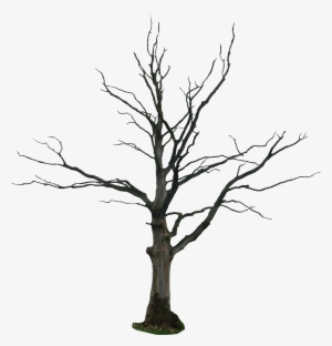 Dead-tree Cartoon Clipart - Dead Tree Drawing