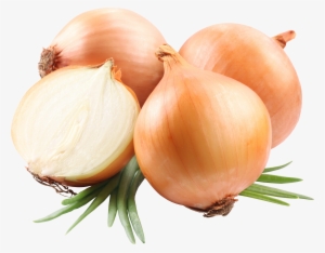 onion png image - onion png