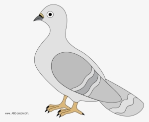 Pigeon Raster Clipart - Голуб Малюнок