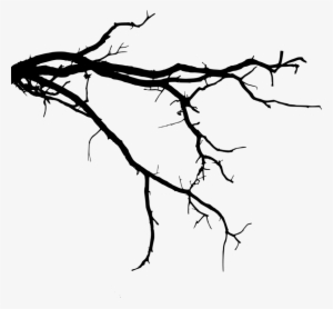 Free Png Tree Branch Png Images Transparent - Tree Branch Silhouette Png