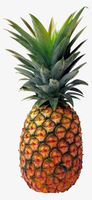 Best Free Pineapple Png Picture - Pineapple Png