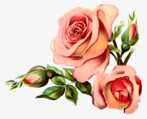 Wordpress Logo Clipart Rose - Vintage Flower Graphic Png