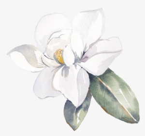 Cami's Watercolor Talent Is Breathtaking It Has A Timeless, - Frangipani