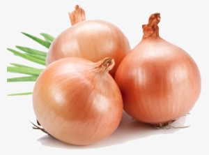 onion png file - onions images png