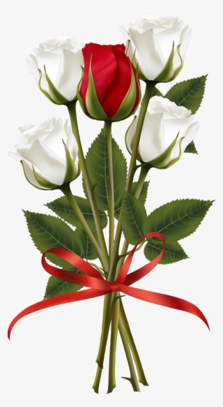 Flower Frame, Flower Art, White Roses, Red Roses, Red - Red And White Rose Clipart