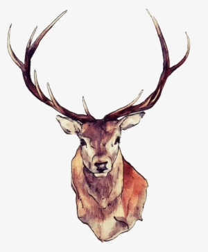 Watercolor Deer Antlers Png - Deer Transparent