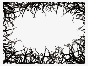 Dead Tree Branch Frame Border Png Clipart Free - Tree Branch Border