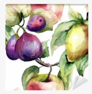 Watercolor Illustration Of Fruits Wall Mural • Pixers® - Watercolor Painting