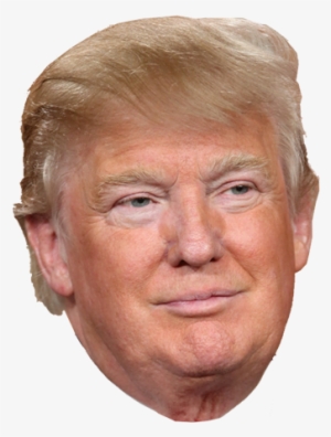 Trumphead1 - Donald Trump Would Look Like Without A Fake T