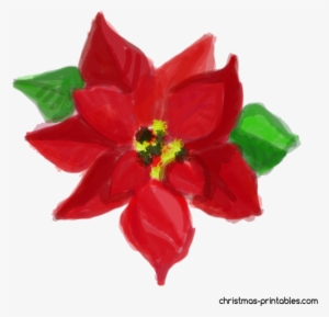 Free Watercolor Christmas Flower Clipart - Watercolor Painting