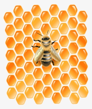 Honeycomb With Bee Png Clip Art Image - Honeycomb