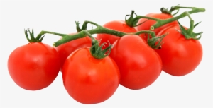 Tomato Png