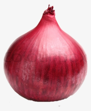 Red Onion Png File - Red Onion Png