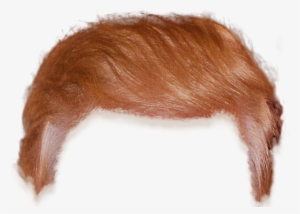 Trump Hair Cutout