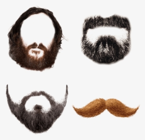 Beards - Beard Png