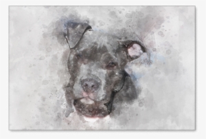 American Pitbull Watercolor On Canvas - American Pit Bull Terrier