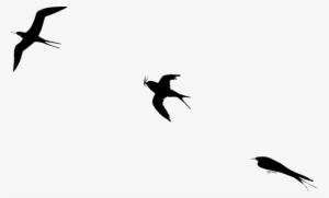 Bird Flight Clip Art At Clker - Bird