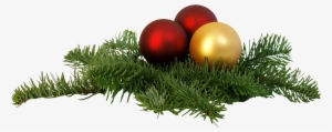 Christmas Png Transparent Image Royalty Free Stock - Christmas Tree Branch Png