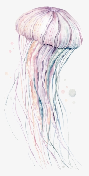 Hand-painted Rare Pink Jellyfish Png Transparent