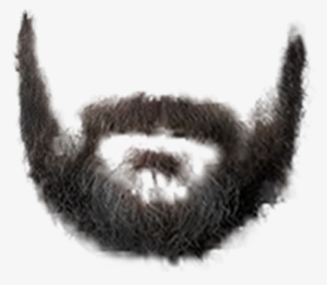 Real Beard Png - Beard Png