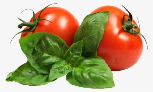Tomato Png