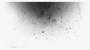 Dust Particles Effect Black Dots Light Dark Effects - Bird