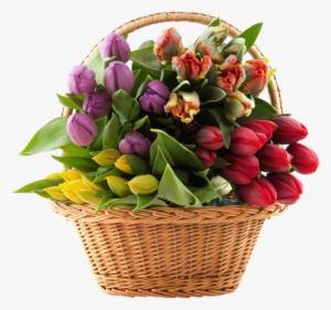 Transparent Basket With Tulips Png Clipart - Tedgem 8 Pack Wire Handles (handle-ease) For Mason,