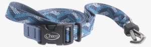 Chaco Dog Collar - Belt