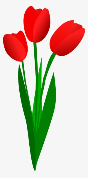 This Free Icons Png Design Of Three Red Tulips
