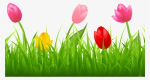 Grass With Colorful Tulips Png Clipart Spring Pinterest - Tulip Border Clipart