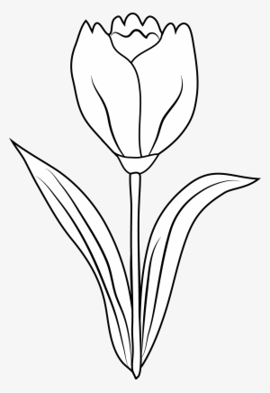 Clipart Spring Flowers Black And White - Clipart Tulip Flower Black And White