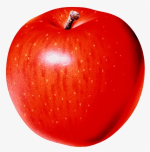 Apple Png Clip Art