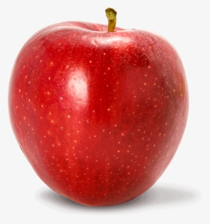 Gala Apples - Apple Fruit