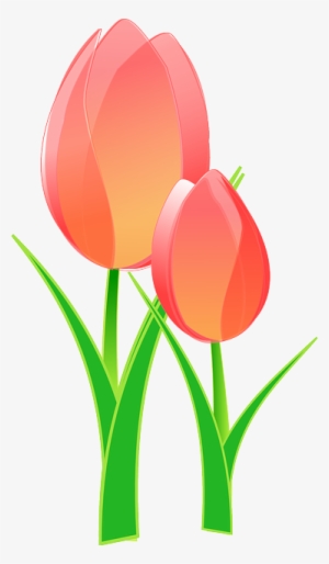 It Seems Like I've Been On A Flower Theme The Last - Tulips Clip Art