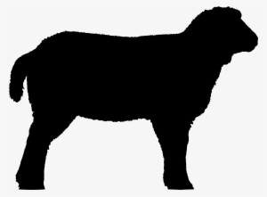 Detailed Sheep Silhouette - Sheep Silhouette Png