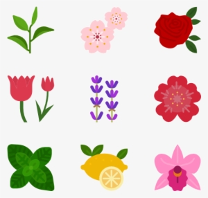Natural Scent 25 Icons View 14 Packs - Fruit