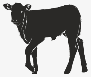 veal silhouette black isolated - calf svg file