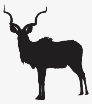 Kudu African Antelope - Antelope Silhouette Vector