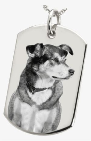 925 Silver Pet Photo Dog Tag