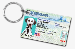 Michigan Pet Drivers License Id Tags - Michigan