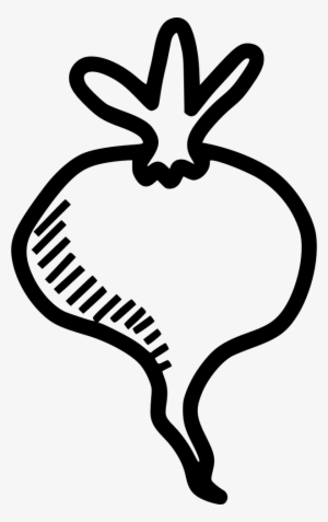 Beet Root Plant Spring Food Vegetable Comments - Vegetables Png Icon Drawing