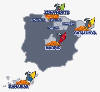 Elige Tu Zona - Pirotecnia Cm Tenerife Tienda