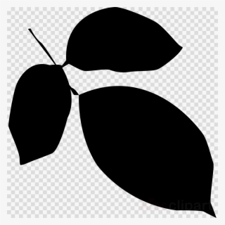 Leaf Silhouette Vector Png Clipart Leaf Silhouette - Vector Graphics