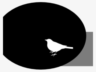 Crow Clipart White Background - Complices: Esta Vez, La Aventura De Leer