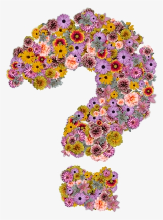 Point D' Interrogation - Flower With Question Mark